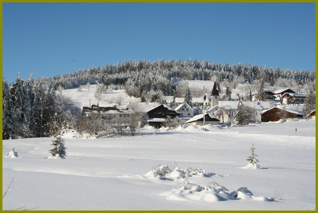 Pension Philippsreut "Zum Pfenniggeiger" Am Goldsteigwanderweg Екстериор снимка