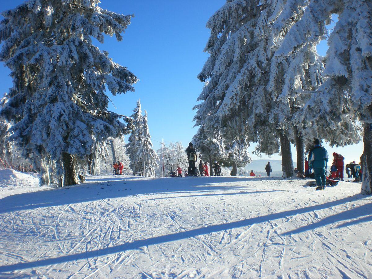 Pension Philippsreut "Zum Pfenniggeiger" Am Goldsteigwanderweg Екстериор снимка