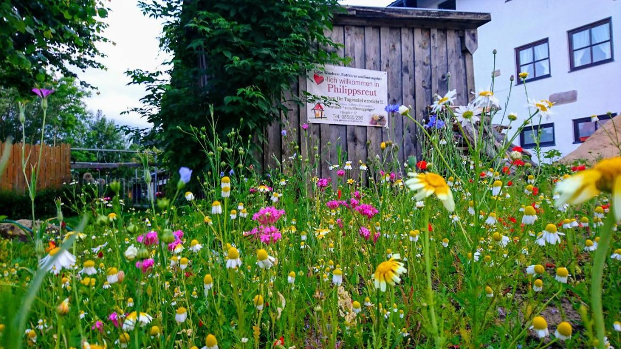 Pension Philippsreut "Zum Pfenniggeiger" Am Goldsteigwanderweg Екстериор снимка