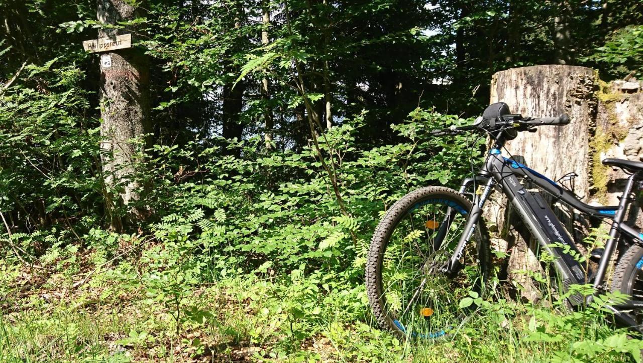 Pension Philippsreut "Zum Pfenniggeiger" Am Goldsteigwanderweg Екстериор снимка